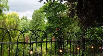 9 Incredible Activities To Do In Fletcher Moss Botanical Garden