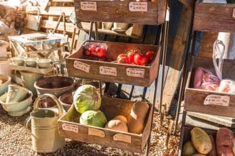 Harvest Festival