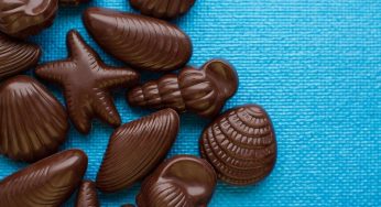 Chocolate of Belgium: What’s the Best Kept Ingredient?