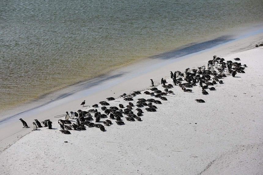 falkland islands