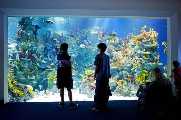 Most Famous Aquarium In Bristol: Bristol Aquarium