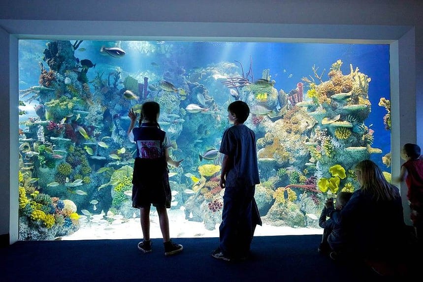 Most Famous Aquarium In Bristol: Bristol Aquarium