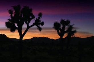 national parks in california