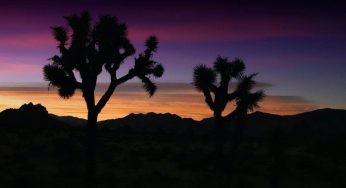 6 Popular National Parks in California
