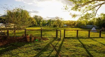 The 5 Top-Rated Farms in Yorkshire Worth Exploring