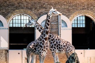 Zoos in the UK