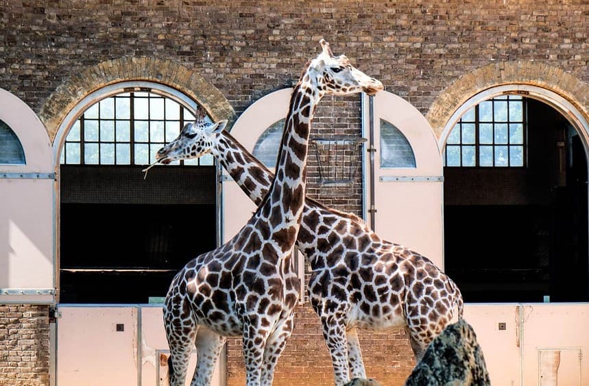 Zoos in the UK