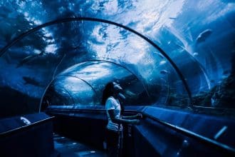 aquarium in manchester