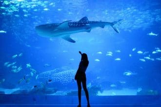 aquarium in Barcelona