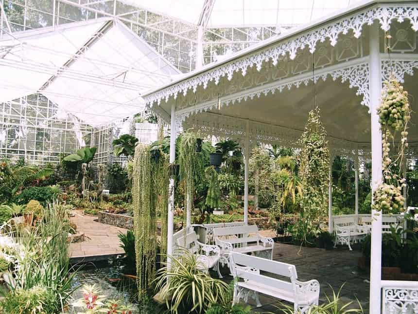 botanical garden in Edinburgh