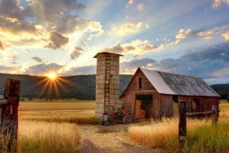 Famous Farms in Cardiff