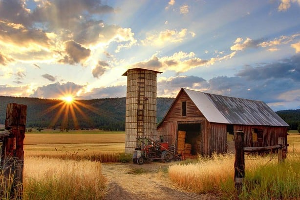 Famous Farms in Cardiff