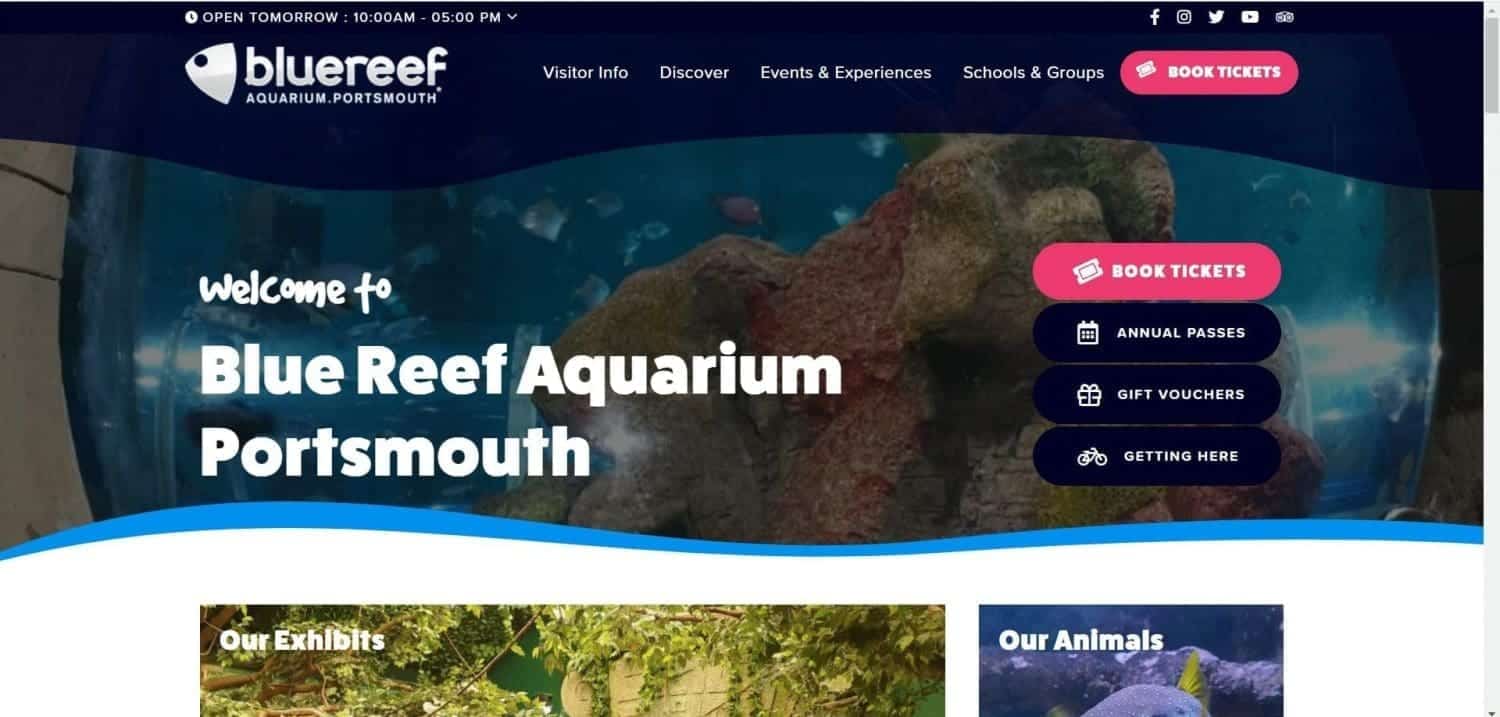 Aquarium in Portsmouth: Everything in 5 Minutes 2 aquarium in Portsmouth