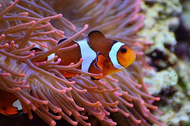 aquarium in Portsmouth