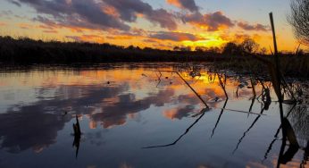 Sailing Through History: Exploring the Rich Heritage of Norfolk Broads
