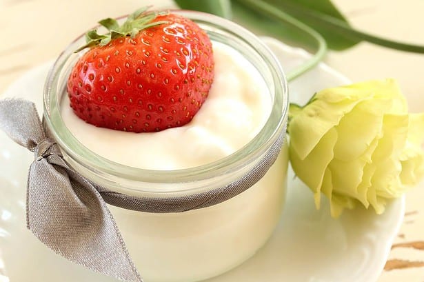 French-Style Yogurt