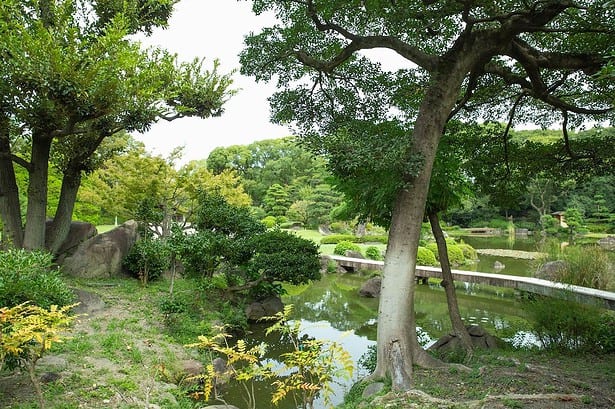 Botanical Garden