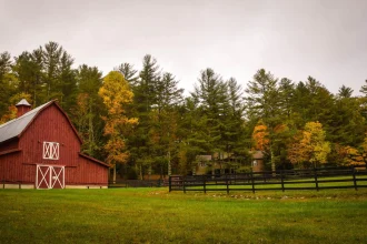 farm in Kent