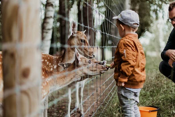 zoos in lincolnshire