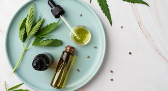 How Can You Incorporate CBD Oil In Your Diet?