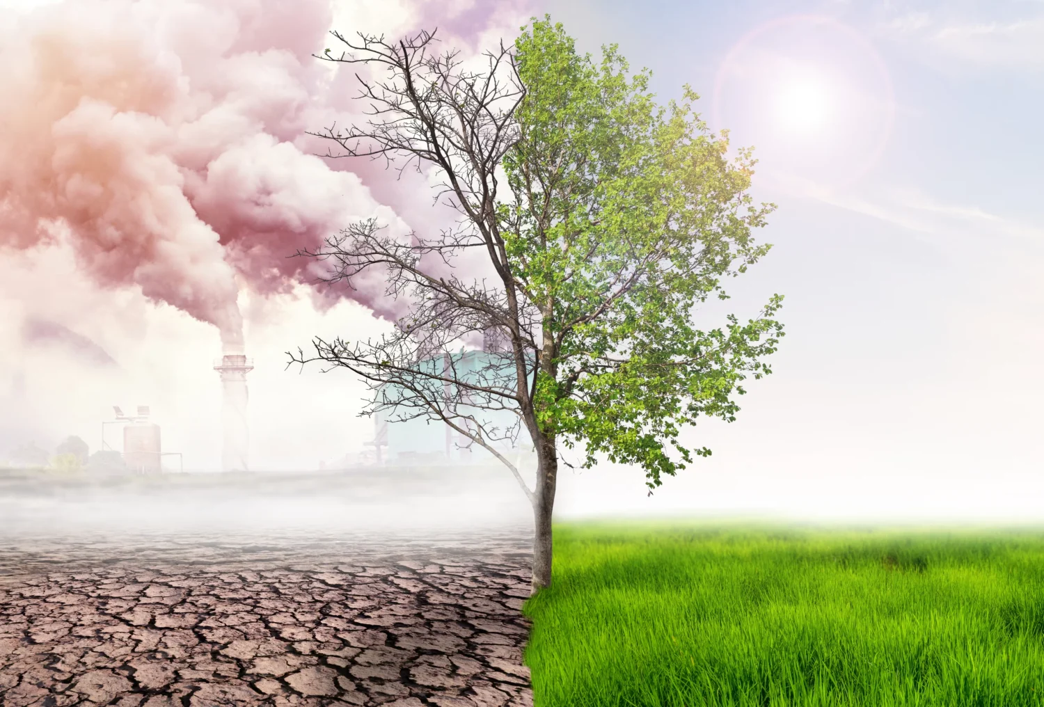 A Step-by-Step Guide to Reducing Disaster Risk in Climate Change