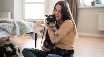 Of Fashion And Fur: How To Have An Effortlessly Chic Living Space As A Pet Owner