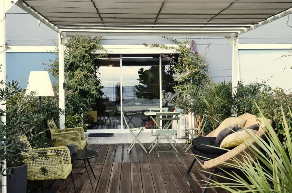 How to Take Care of Tropical Plants: 10 Tips 3 Take Care of Tropical Plants