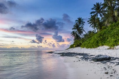 Tropical beach sunset with palm trees and reflective ocean waters, beach destinations in november