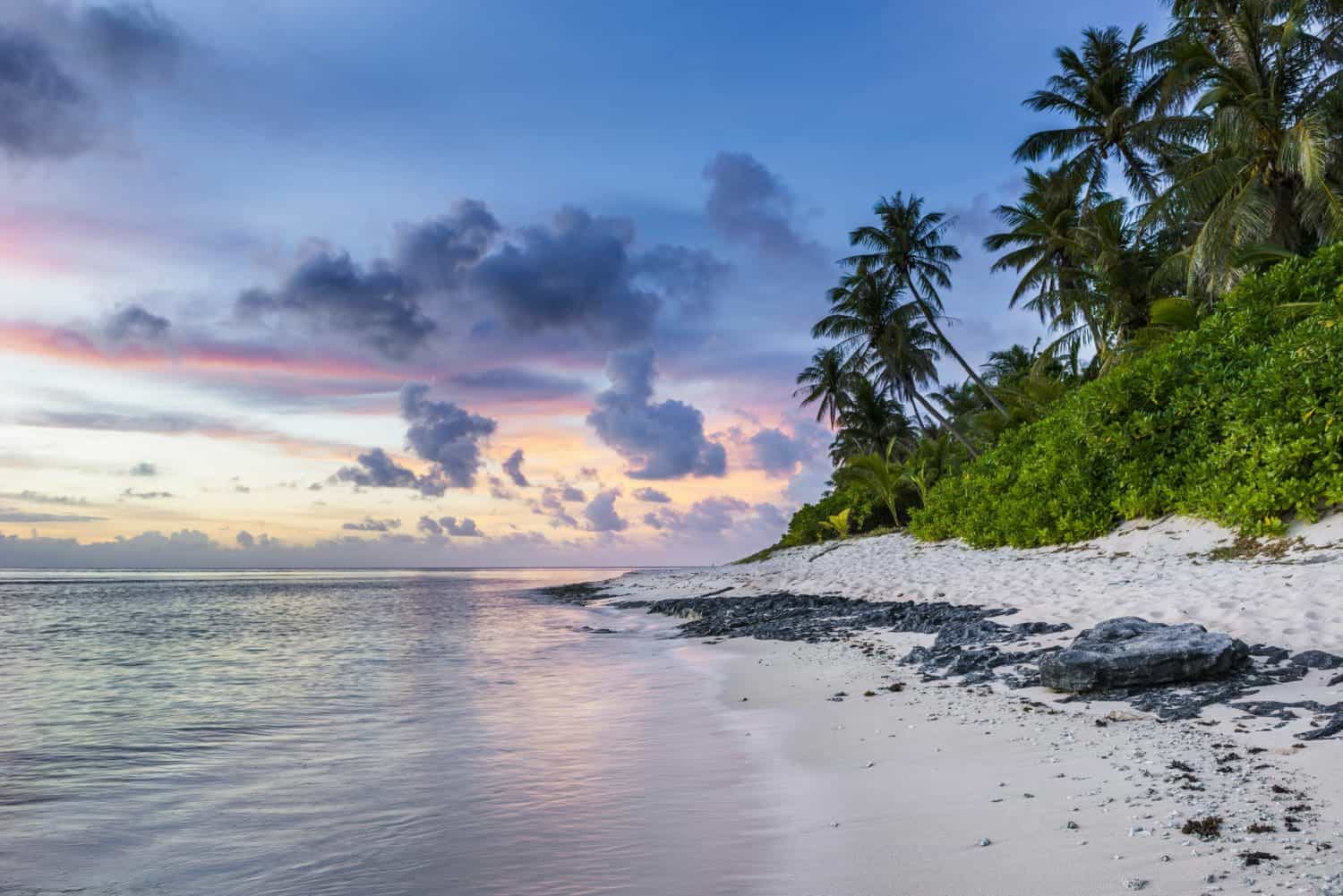 Tropical beach sunset with palm trees and reflective ocean waters, beach destinations in november