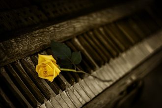 photo by MartyNZ from Pixabay
