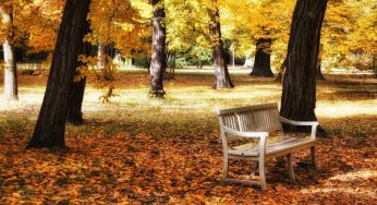 Stroll Through The Amazing Parks In Berlin