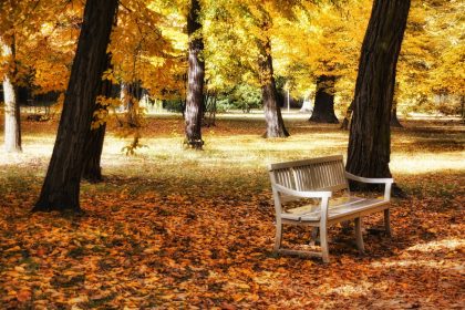 schlosspark charlottenburg 1053050 1280
