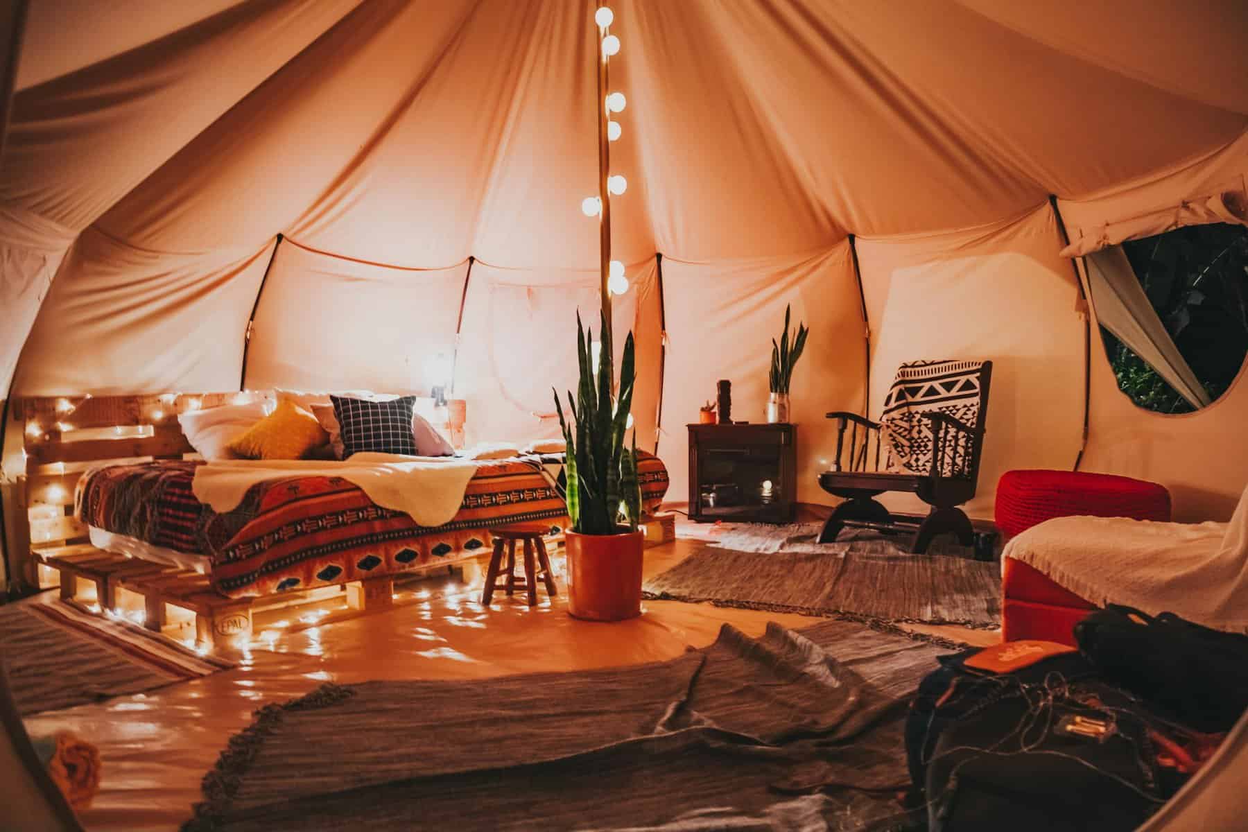 pexels bertellifotografia